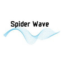 株式会社SpiderWaveの会社情報