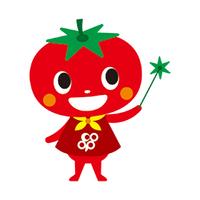 大阪いずみ市民生活協同組合の会社情報