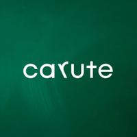 株式会社カルーテの会社情報