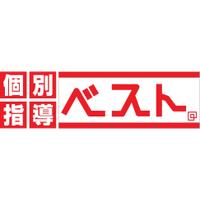 株式会社ベスト・エデュケーションの会社情報