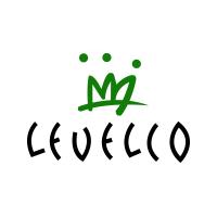 有限会社レベルコの会社情報