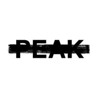 株式会社PEAKの会社情報