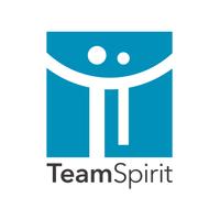 株式会社チームスピリットの会社情報