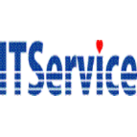 アイ・ティー・サービス株式会社の会社情報