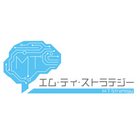 エム・ティ・ストラテジー株式会社の会社情報