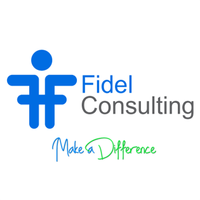 Fidel Consulting KKの会社情報