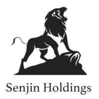 Senjin Holdingsの会社情報