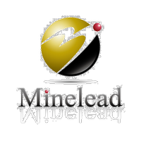 株式会社マインリードの会社情報