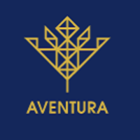 株式会社AVENTURAの会社情報
