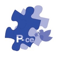 P-ce Ag株式会社の会社情報