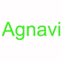 株式会社Agnaviの会社情報