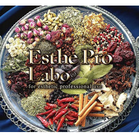 株式会社プロラボホールディングスの会社情報