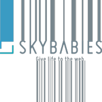 株式会社スカイベイビーズの会社情報