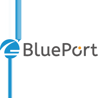 株式会社BluePortの会社情報