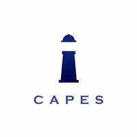 株式会社CAPESの会社情報