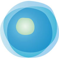 ライフマティックス株式会社 の会社情報