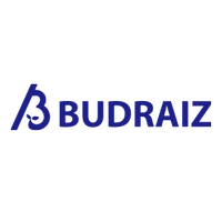BUDRAIZ株式会社の会社情報