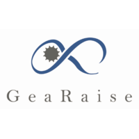 株式会社GeaRaiseの会社情報