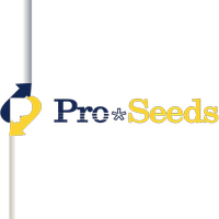 株式会社プロシーズの会社情報