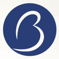 ブルー・マーリン・パートナーズ株式会社の会社情報