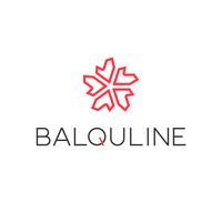 バルクライン株式会社の会社情報