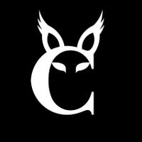 株式会社カラカルメディアの会社情報