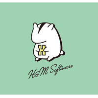 Ｈ＆Ｍ　Ｓｏｆｔｗａｒｅ株式会社の会社情報
