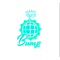 株式会社バンプの会社情報