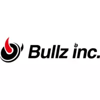 株式会社ブルズの会社情報