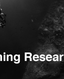 Deep Learning Researcher Wanted!