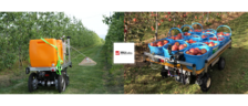 〈Mobile Mover〉RTK-GNSS自動走行による除草剤散布の実証実験