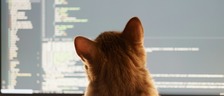 「伝わる」GitHub PRと「育てる」レビューコメントの書き方
