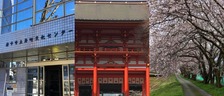 中の人の邦画放談⑤ 「ちはやふる-結び-」聖地巡礼編