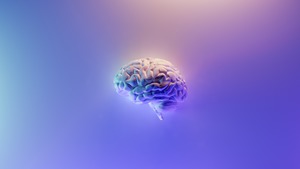 グローバルエンジニアが実践する「英語脳🧠トレーニング」完全解説
