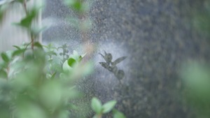 暮らしの価値観が、ここで変わった。錢屋本舗に入社して ～2022年新卒社員～