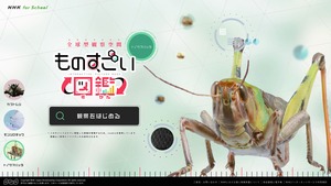 昆虫をぐるぐる回して観察しよう！NHK for School「ものすごい図鑑」ができるまで（チームラボ）