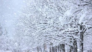 寒さ対策のための効果的な方法