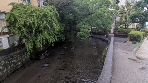 社員合宿で三島市に行ってみた！