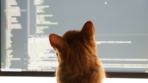「伝わる」GitHub PRと「育てる」レビューコメントの書き方