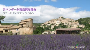 ラベンダーが高品質な理由