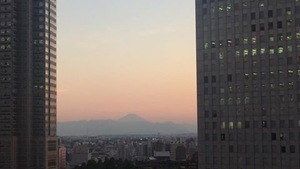 新宿から富士山が見えるの、知ってましたか？