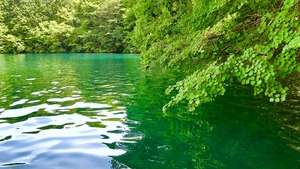 透明な医療で病気と闘う