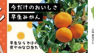 【食に特化した取材＆撮影】こんな写真の撮影や取材をして下さるクリエーターを募集しています！