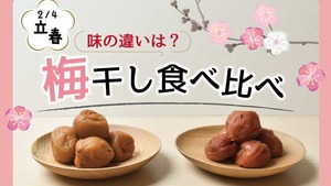 スーパーマーケットは「季節」「旬」が大切な業界なんです！