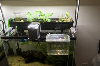 会社で野菜と魚育ててますｗ その２ 株式会社qaddworks