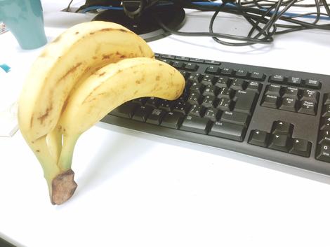 採用奮闘記 人間とバナナのdnaは50 が同じらしい