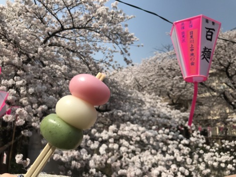 桜満開 お昼休憩にお花見をしてきました 目黒川 全力 ワクワクのイベント