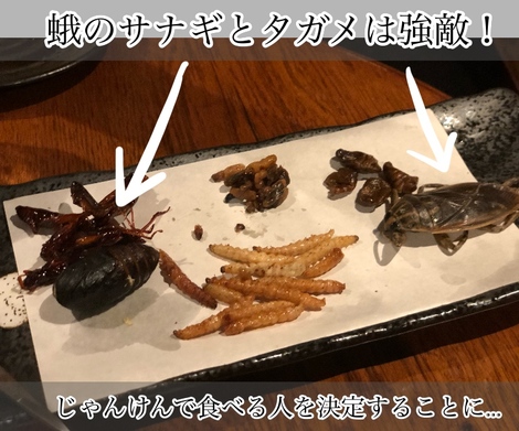 虫 ヤモリ ウーパールーパー ゲテモノ料理を喰ってきた 全力 ワクワクのイベント