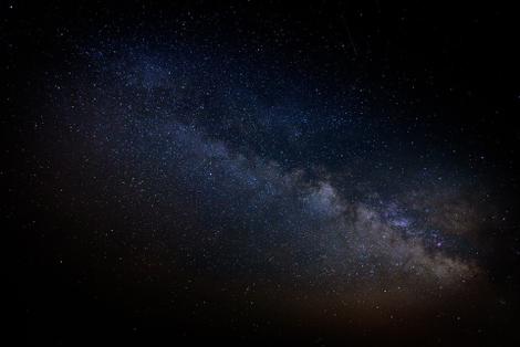 入社3ヶ月の私が小笠原 父島 出張に参加 星空の下 自分や社会の課題を実感した4日間 Explores Once In A Lifetime