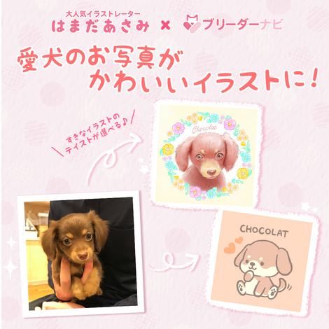 キャンペーン企画第2弾 愛犬の似顔絵プレゼント 21年2月14日 2月28日まで 株式会社アニマライフ